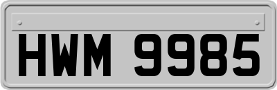HWM9985