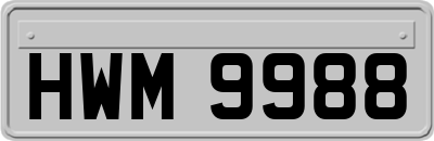 HWM9988