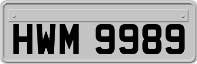 HWM9989