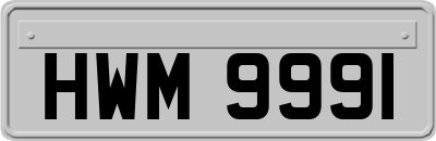 HWM9991