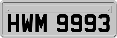 HWM9993