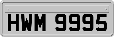 HWM9995
