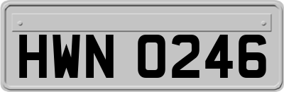 HWN0246