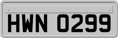 HWN0299