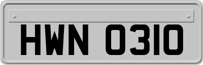 HWN0310