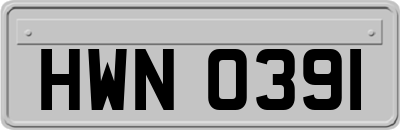HWN0391