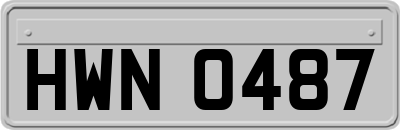 HWN0487