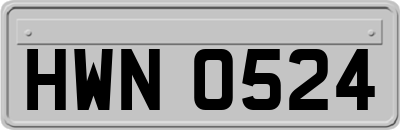 HWN0524