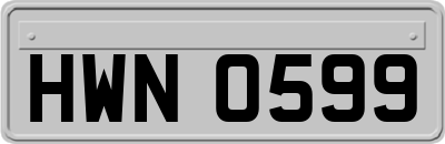 HWN0599