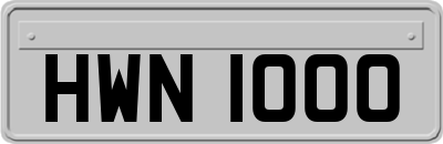 HWN1000