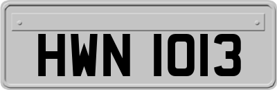 HWN1013