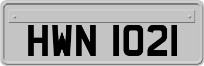 HWN1021