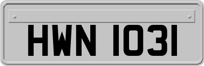 HWN1031