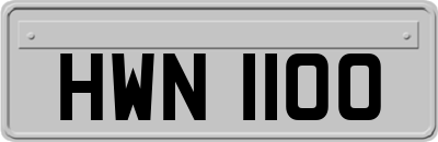 HWN1100