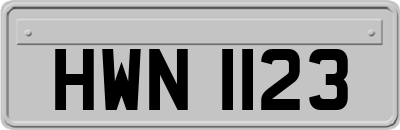 HWN1123