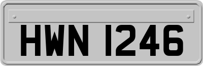 HWN1246
