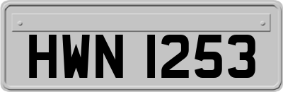 HWN1253