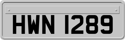 HWN1289