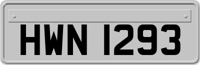 HWN1293