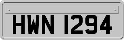HWN1294