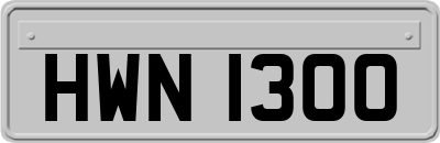 HWN1300