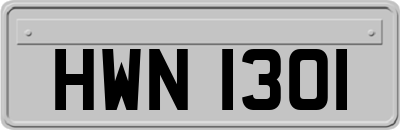 HWN1301