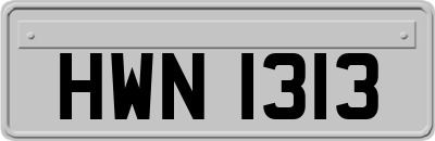 HWN1313