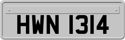 HWN1314