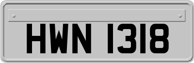 HWN1318