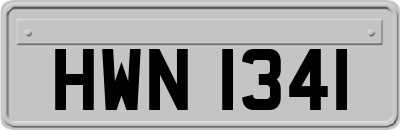 HWN1341