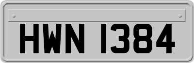 HWN1384