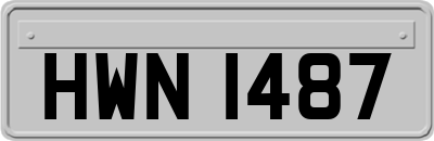 HWN1487
