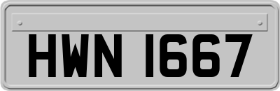 HWN1667