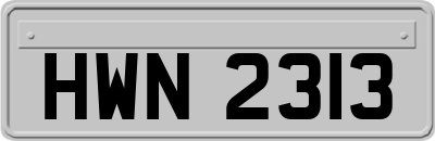 HWN2313