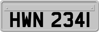 HWN2341