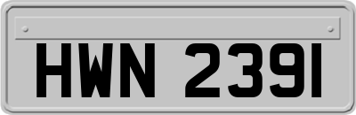 HWN2391