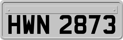 HWN2873