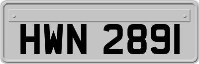 HWN2891