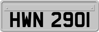 HWN2901