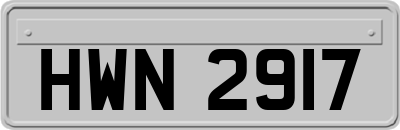 HWN2917