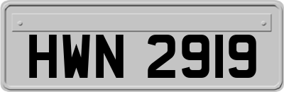 HWN2919