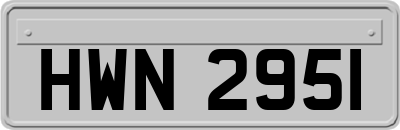 HWN2951