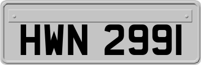 HWN2991