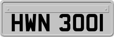 HWN3001