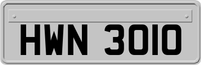 HWN3010