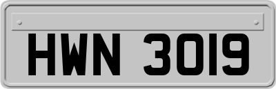 HWN3019