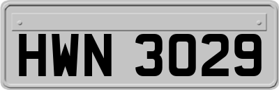 HWN3029