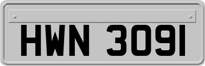 HWN3091