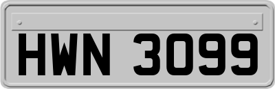 HWN3099