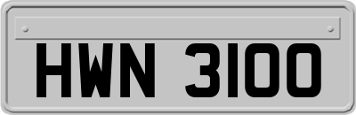 HWN3100